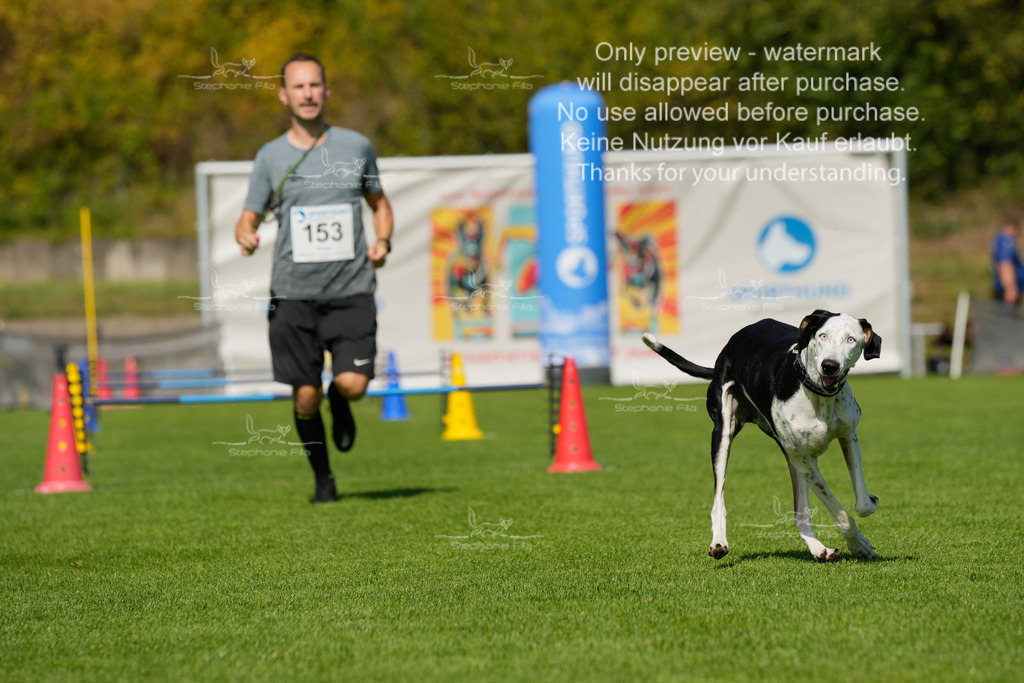 Samstag_Hürden (715 von 1617) | stephaniefillaphotographie - Realisiert mit Pictrs.com