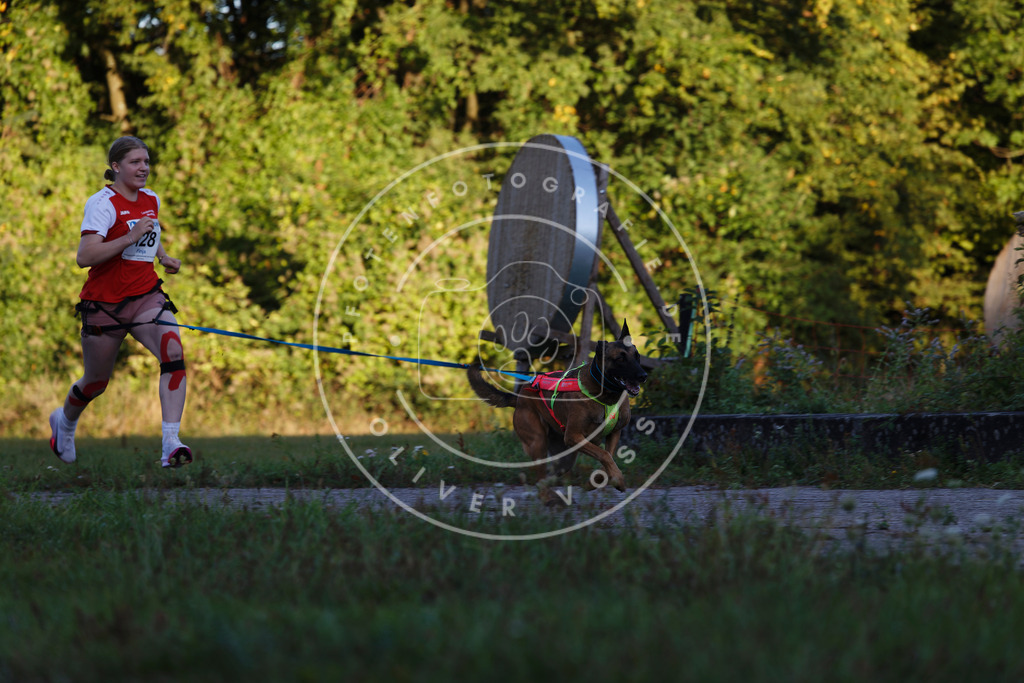 0L8A4462 | Hundefotografie, Tierfotograf, Pfotenfotografie, Fotoshooting Hund, Hunde Portrait, Hundesport, Hundeportraits, Heideshooting, Hunde, Sportfotograf, Hundefotograf, Turnierhundsport, THS,  - Realisiert mit Pictrs.com