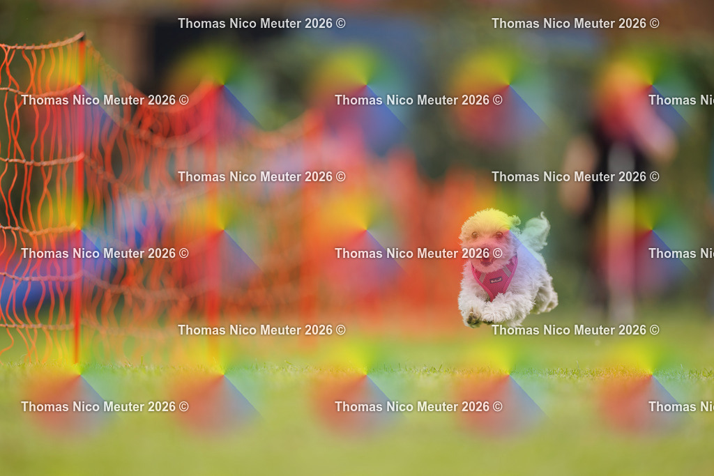 Thomas_Nico_Meuter(C)_26. September 2026_223A0149 | Bild von Thomas Nico Meuter - Realisiert mit Pictrs.com
