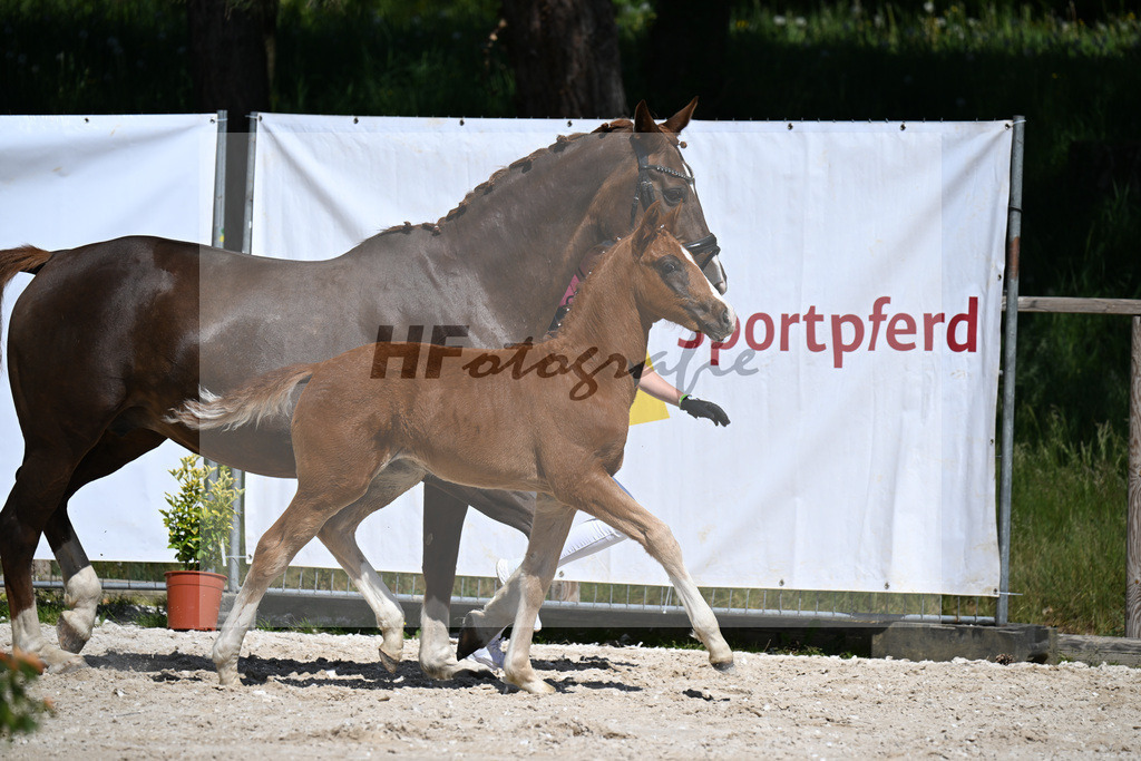 Don Schufro x Don Massimo_HF_Aumer_10250146 | hf-fotografie - Realizzato con Pictrs.com