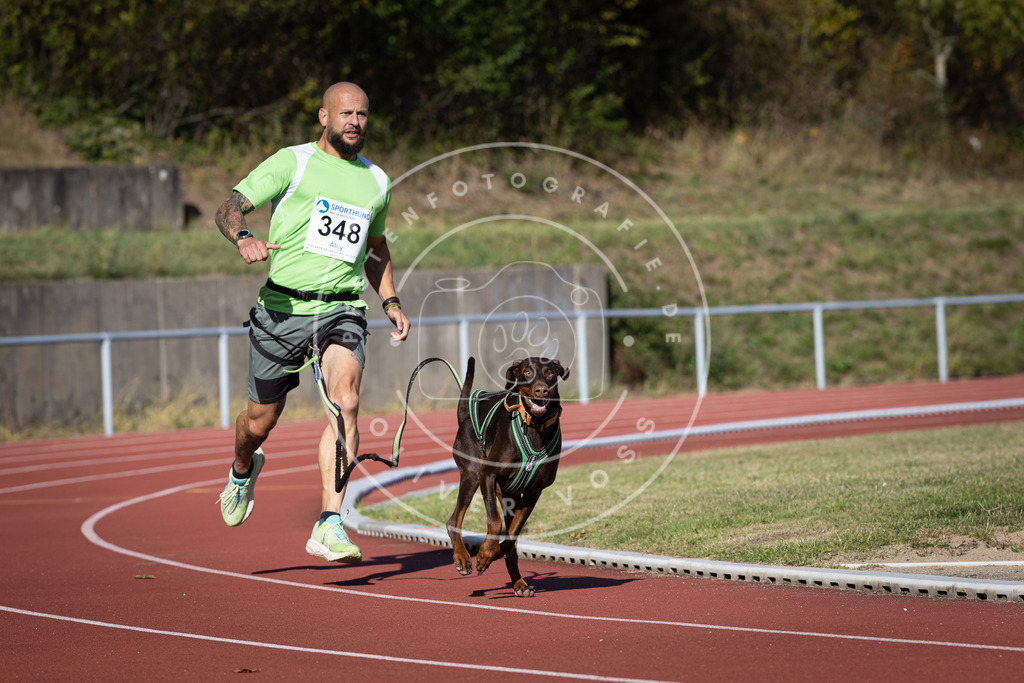 Pfotenfotografie_DV3A8792 | Hundefotografie, Tierfotograf, Pfotenfotografie, Fotoshooting Hund, Hunde Portrait, Hundesport, Hundeportraits, Heideshooting, Hunde, Sportfotograf, Hundefotograf, Turnierhundsport, THS,  - Realisiert mit Pictrs.com