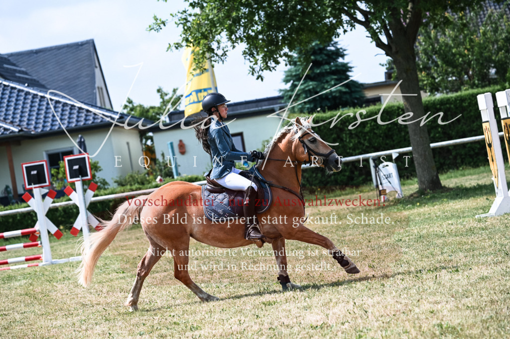 DSC_8792 | Pferde- und Turnierfotografie in Westsachsen. Pferdeportraits, Auftragszeichnungen und intuitive Kunst.