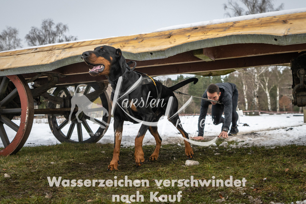 0939_ZZ91202 | kk-dogfotos