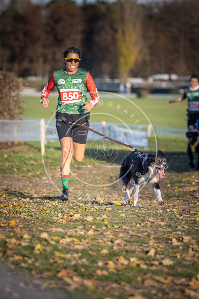 CaniXpix_DV3A3868 | Hundefotografie, Tierfotograf, Pfotenfotografie, Fotoshooting Hund, Hunde Portrait, Hundesport, Hundeportraits, Heideshooting, Hunde, Sportfotograf, Hundefotograf, Turnierhundsport, THS,  - Realisiert mit Pictrs.com