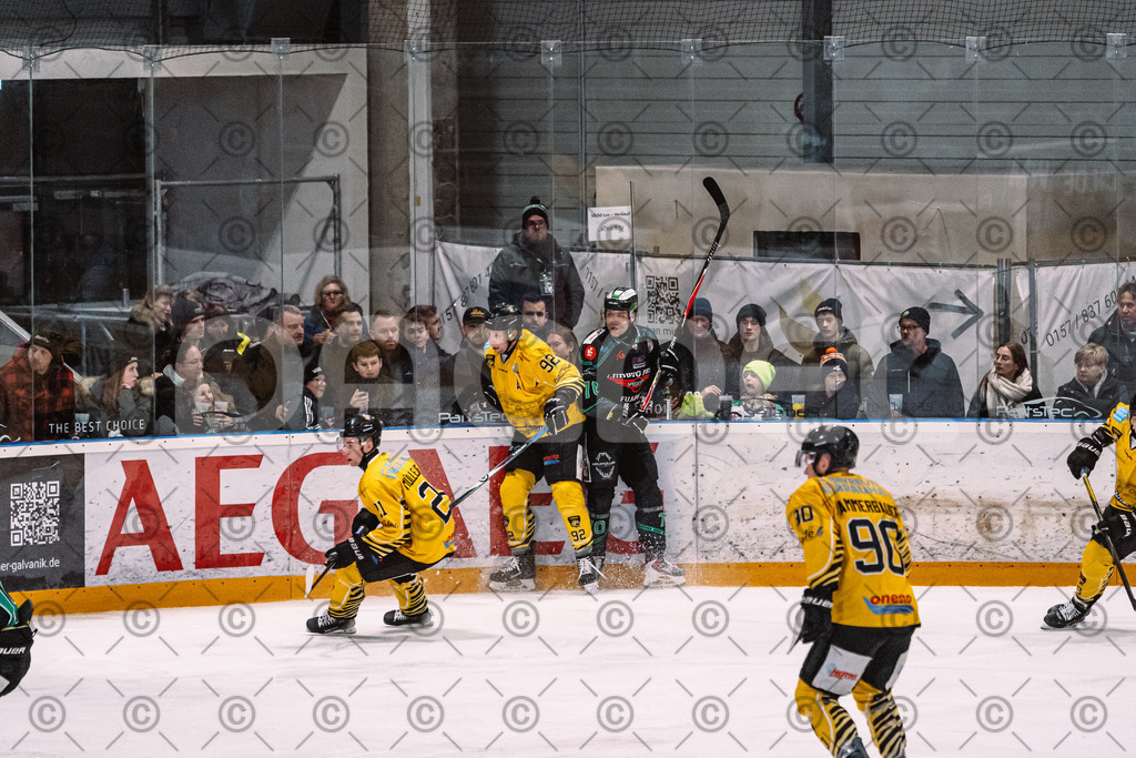 Alligators_vs_Bayreuth_16_01_2026-27 | Höchstadt Alligators Fotogalerie: Eishockey-Action aus Franken. Professionelle Spielfotos, Portraits & Stadionbilder zum Download. Jetzt entdecken! - Realisiert mit Pictrs.com