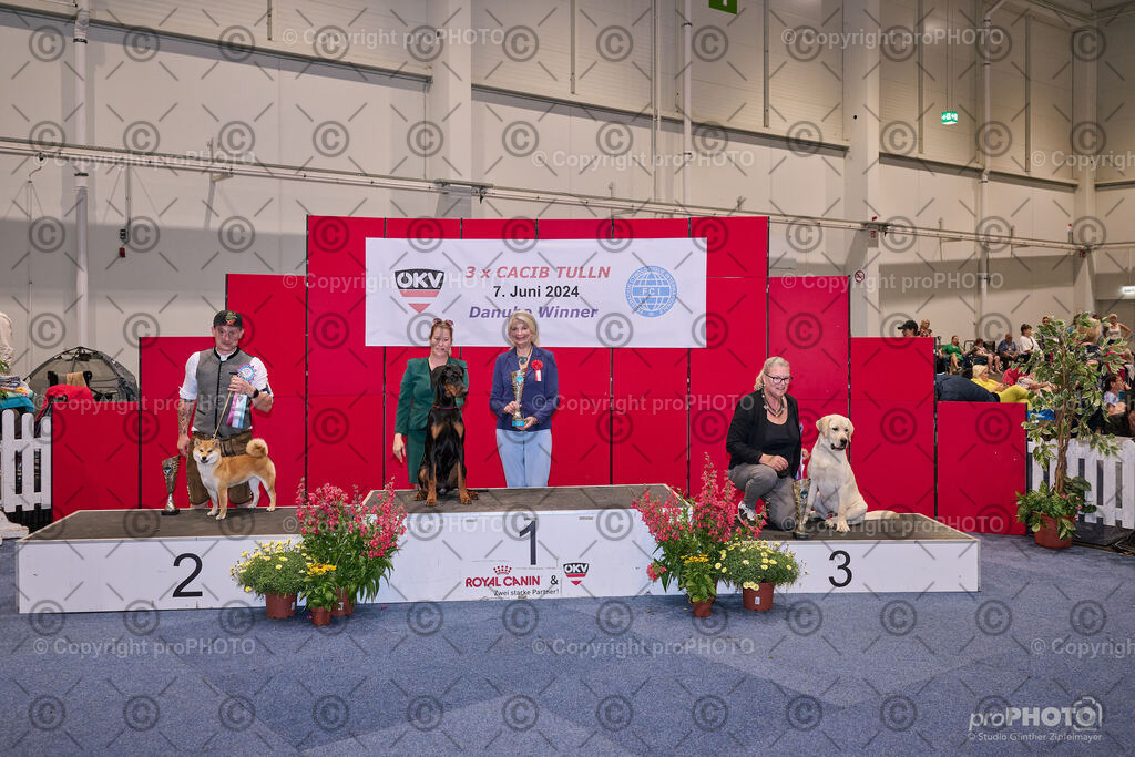 202406_ÖKV-IHA-Tulln24_NZ9_7772 | proPHOTO - Realisiert mit Pictrs.com