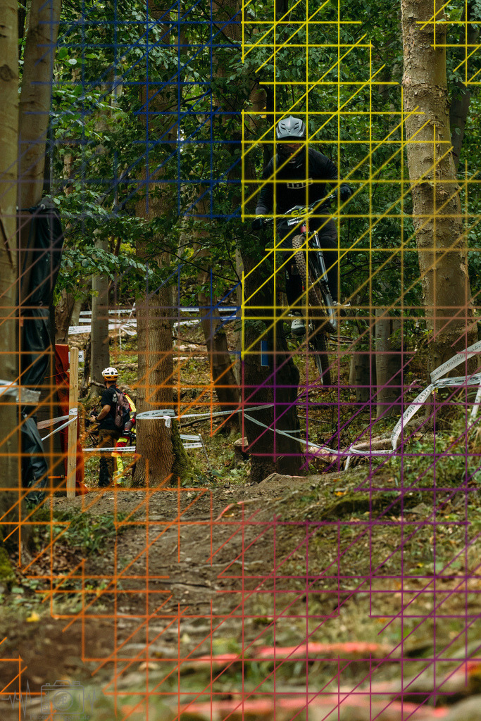 PAE-0253 | Einzigartige Fotokunst für dein Zuhause: Entdecke hochwertige Wandbilder, edle Prints und emotionale Motive von Wildlife, Natur und Landschaften - Realisiert mit Pictrs.com