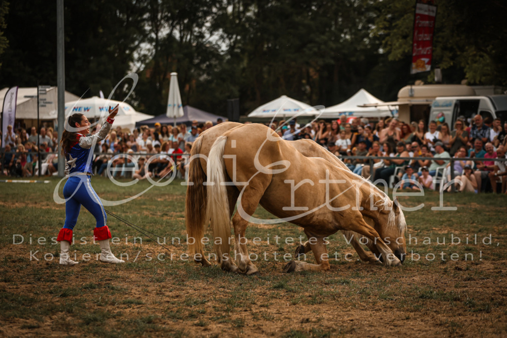 SaShow00057 | Leoni Ertmer Photography - Realisiert mit Pictrs.com