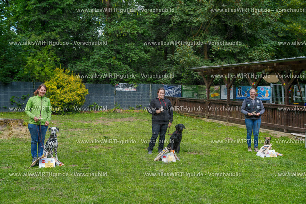 @allesWIRTHgut_Tierfotografie - www.allesWIRTHgut.de - 7R502398 | Professionelle Tierfotografie in Mönchengladbach von Daniel Wirth (allesWIRTHgut). Liebevolle & natürliche Bilder von Hunden & Katzen für unvergessliche Erinnerungen.