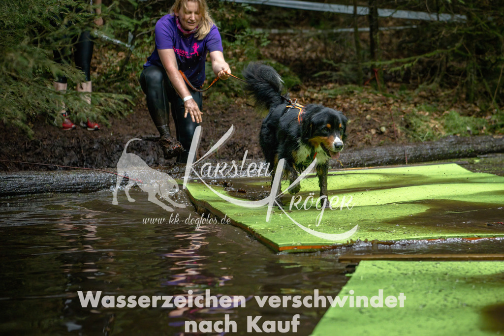 1537_ZZ91480-Bearbeitet | kk-dogfotos