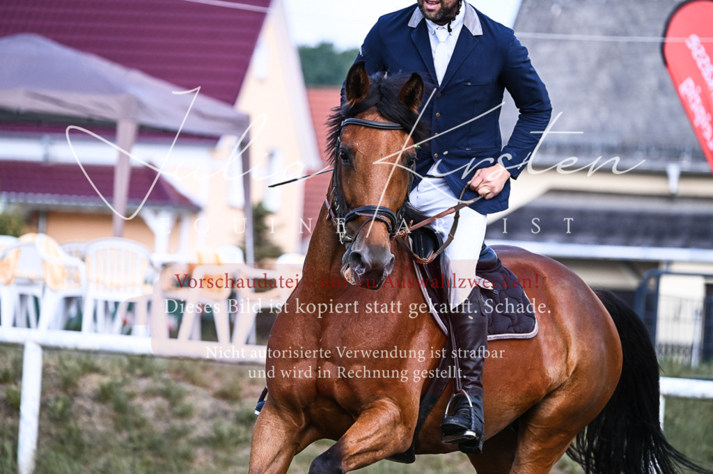 DSC_7619 | Pferde- und Turnierfotografie in Westsachsen. Pferdeportraits, Auftragszeichnungen und intuitive Kunst.