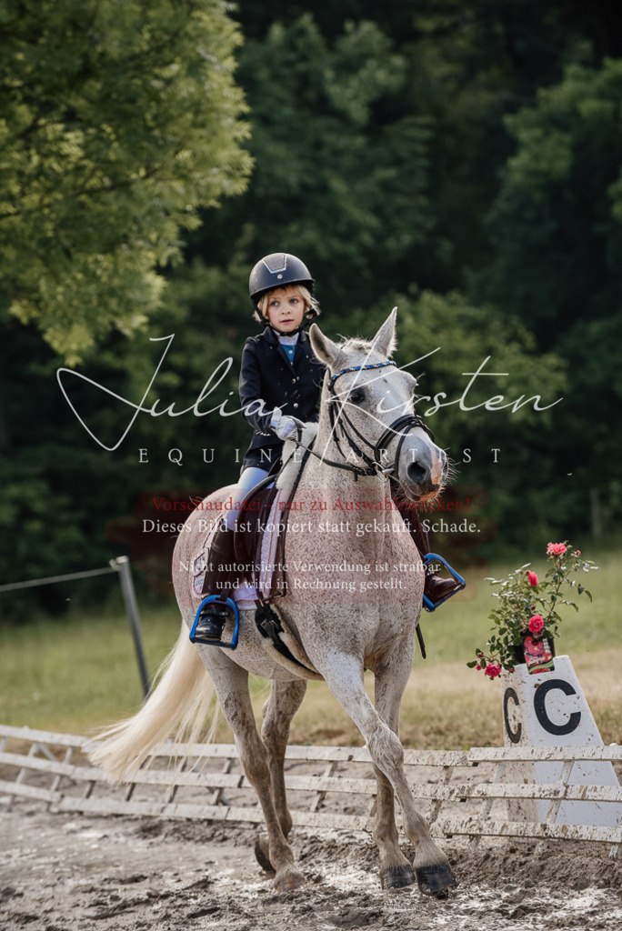 DSC_8281 | Pferde- und Turnierfotografie in Westsachsen. Pferdeportraits, Auftragszeichnungen und intuitive Kunst.