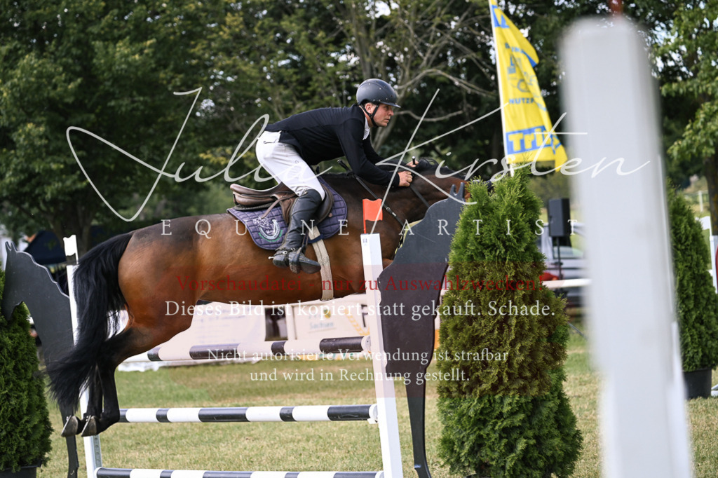 DSC_0749 | Pferde- und Turnierfotografie in Westsachsen. Pferdeportraits, Auftragszeichnungen und intuitive Kunst.