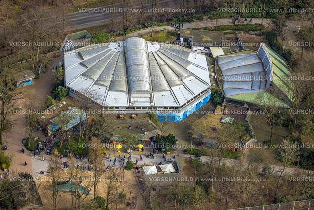 Duisburg240304070 | Luftbild, Delfinarium Zoo Duisburg, Besucher, Duissern, Duisburg, Ruhrgebiet, Nordrhein-Westfalen, Deutschland, Duisburg-S