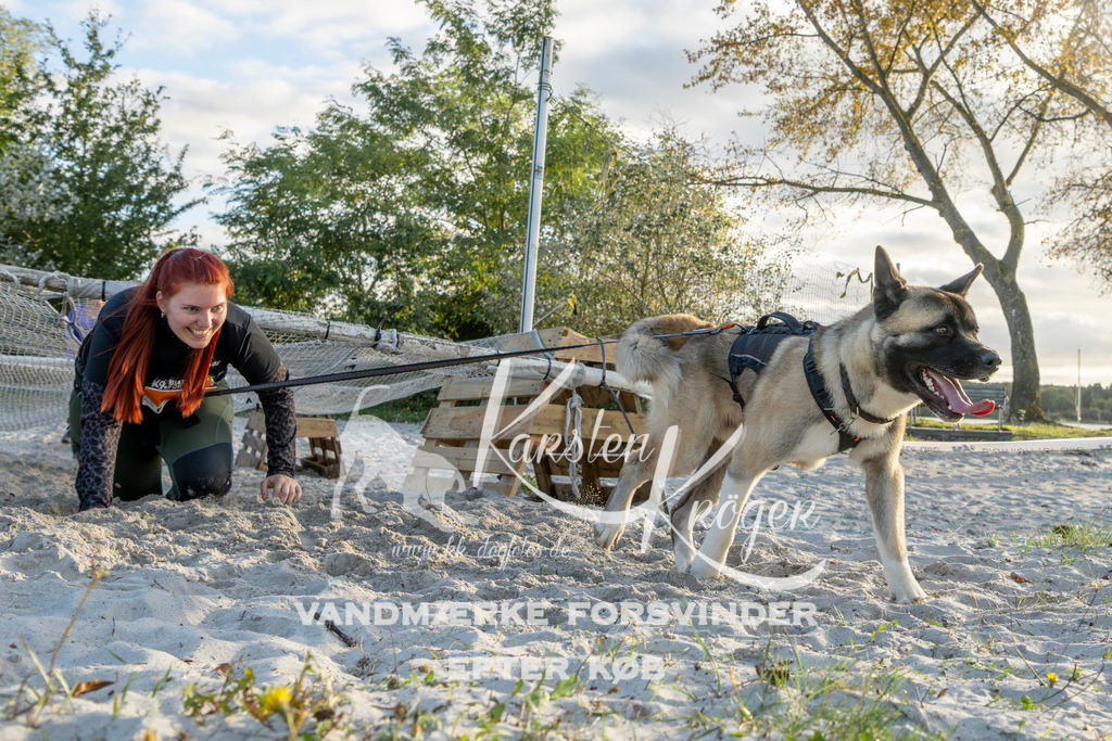 1641_ZZ98592 | kk-dogfotos