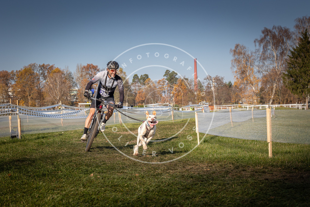 CaniXpix_0L8A6825 | Hundefotografie, Tierfotograf, Pfotenfotografie, Fotoshooting Hund, Hunde Portrait, Hundesport, Hundeportraits, Heideshooting, Hunde, Sportfotograf, Hundefotograf, Turnierhundsport, THS,  - Realisiert mit Pictrs.com