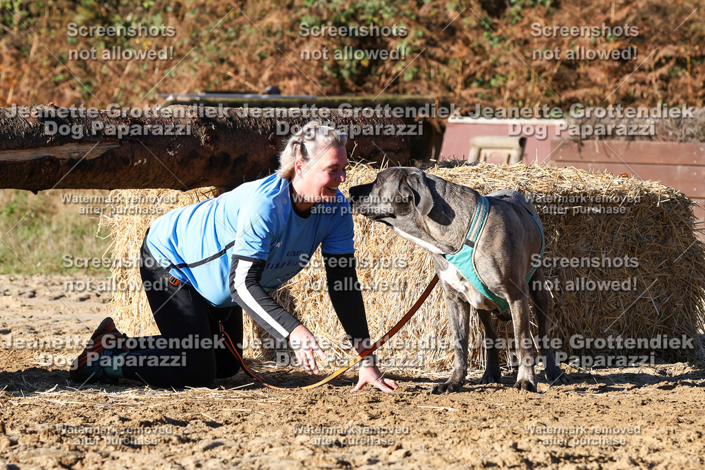 Dog Paparazzi - Strongdog 10-25-1615 | Dog Paparazzi Jeanette Grottendiek Fotografie & Videografie - Realisiert mit Pictrs.com
