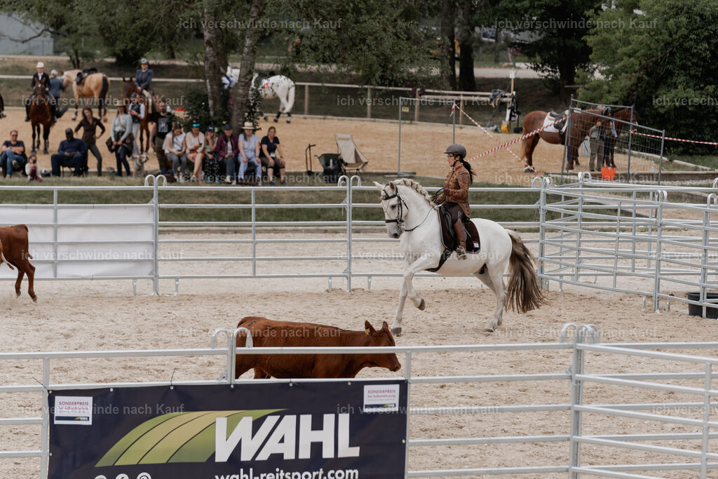 WE__Stoib_Rinder_PI2025_3128 | Pferd International München 2025