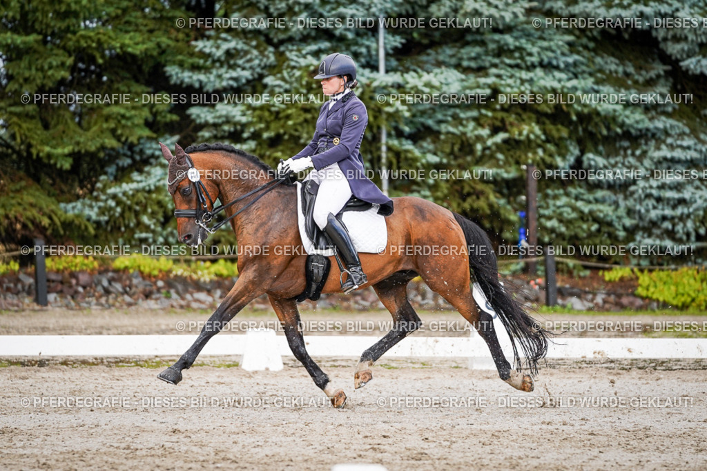 DSC00238 | Pferdegrafie