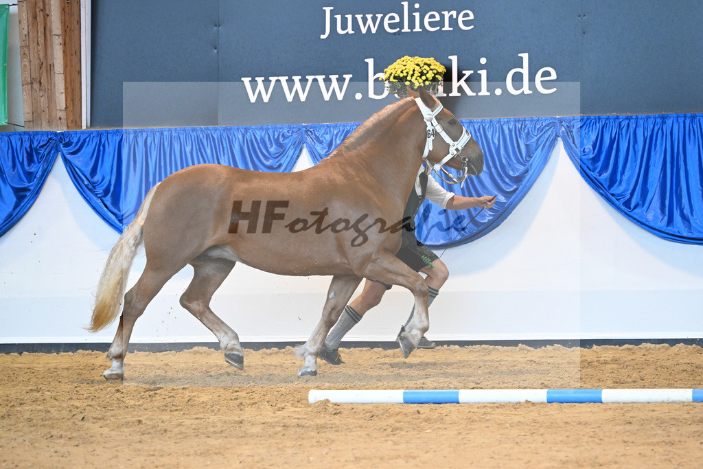 Kat-Nr. 64 Heleni_Hoeck_53220207 | hf-fotografie - Realisiert mit Pictrs.com