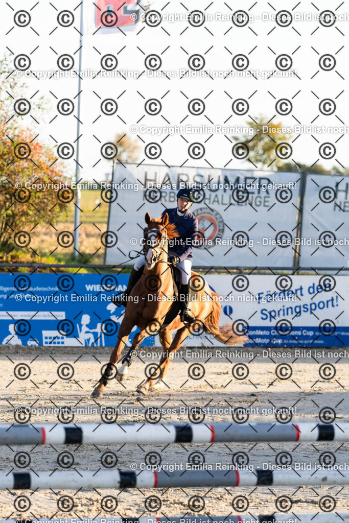 CL5A0815 | Emilia Reinking Fotografie - Realisiert mit Pictrs.com