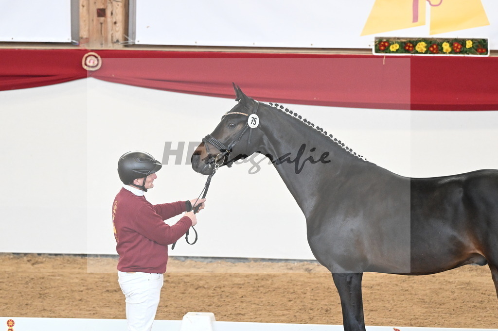 Kat.-Nr. 75 v. Santos_Greim_2250830 | hf-fotografie - Realisiert mit Pictrs.com