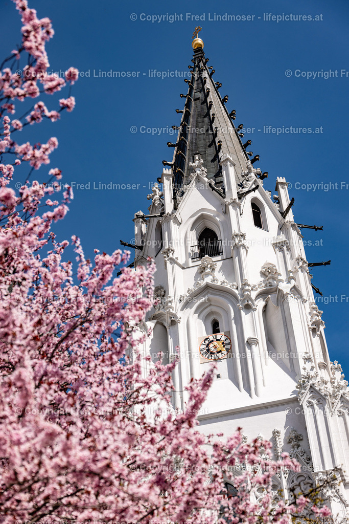 Mariazell basilika 30042022-6324 | Fotos und Fotoprodukte - Realisiert mit Pictrs.com
