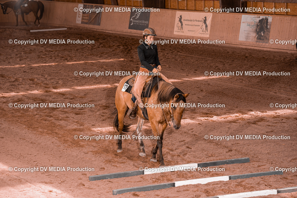 NE300386 | dv-media-shop - Realisiert mit Pictrs.com