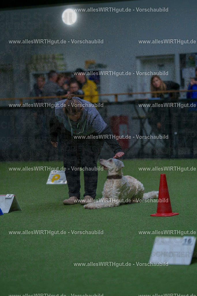 7R502797 | Professionelle Tierfotografie in Mönchengladbach von Daniel Wirth (allesWIRTHgut). Liebevolle & natürliche Bilder von Hunden & Katzen für unvergessliche Erinnerungen.