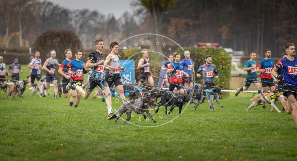 CaniXpix_DV3A9457 | Hundefotografie, Tierfotograf, Pfotenfotografie, Fotoshooting Hund, Hunde Portrait, Hundesport, Hundeportraits, Heideshooting, Hunde, Sportfotograf, Hundefotograf, Turnierhundsport, THS,  - Realisiert mit Pictrs.com