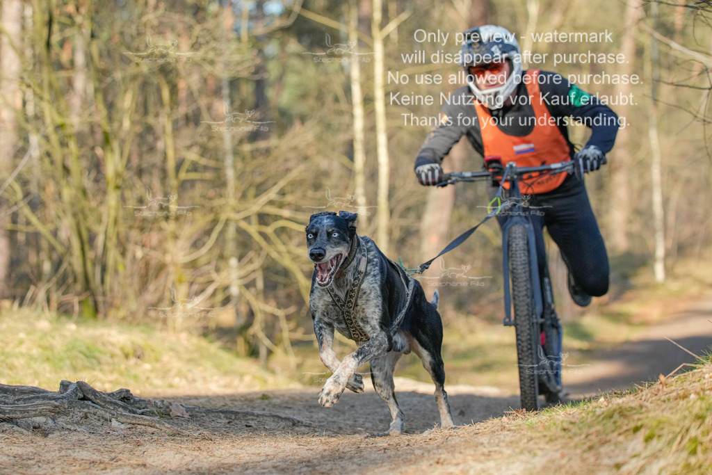 Sa_Scooter-201 | stephaniefillaphotographie - Realisiert mit Pictrs.com