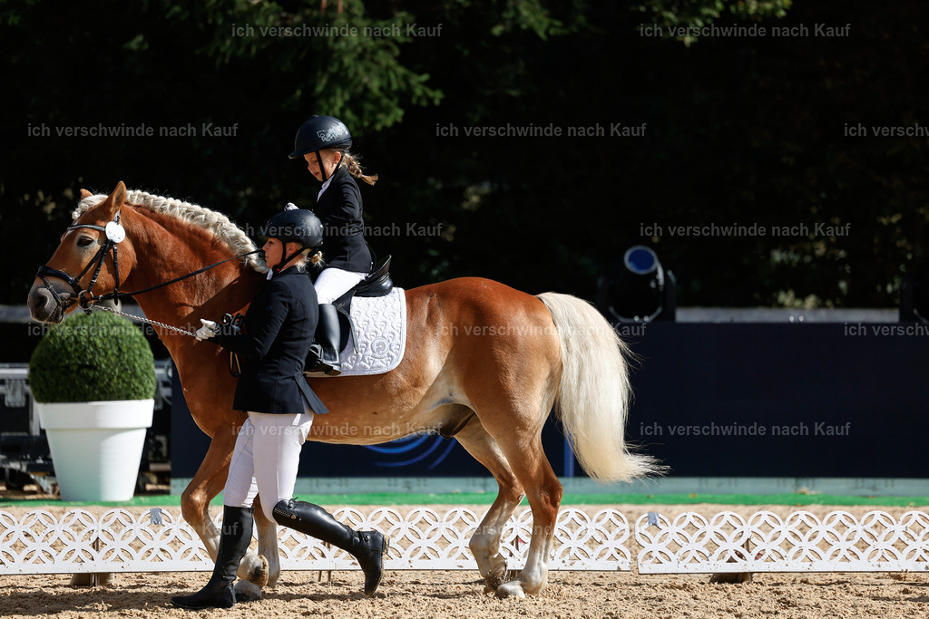 01--Ponyführzügel -StoibPH-6615 | working equitationturnier fotograf videograf stoibphotography marixx film working equitation deutschland reitsport turnierfotografie eventfotografie equestrian events