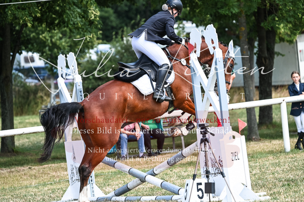 DSC_9853 | Pferde- und Turnierfotografie in Westsachsen. Pferdeportraits, Auftragszeichnungen und intuitive Kunst.