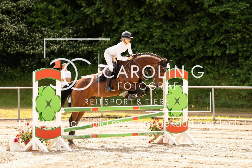 DSC02288 | Carolin Gieschke