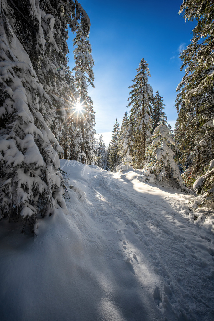 Mösern | Winterlicher Weg zum Brunschkopf