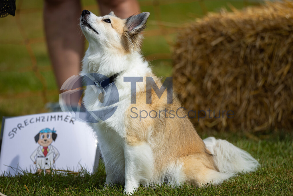 TP-20240815-0145 | Copyright: Trainproduction / Matthias Trinkl