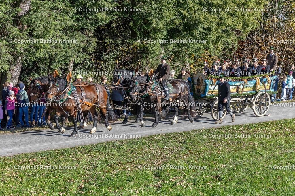 LBT25-294 | foto-bettina-krinner - Realisiert mit Pictrs.com