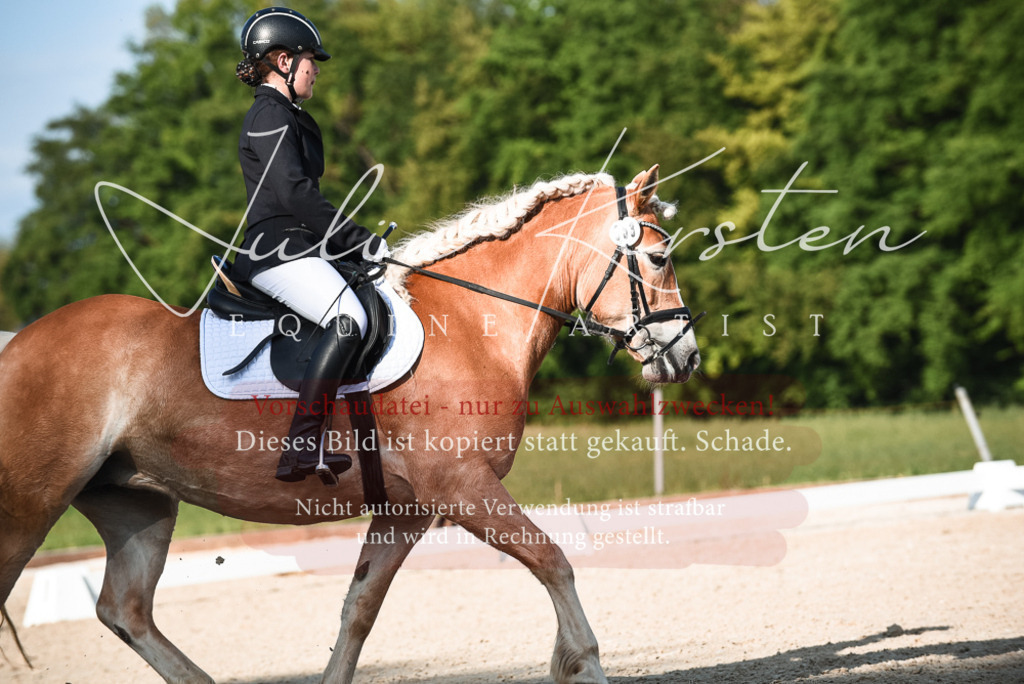 20230518_JK-Röhrsdorf-12-1017 | Pferde- und Turnierfotografie in Westsachsen. Pferdeportraits, Auftragszeichnungen und intuitive Kunst.