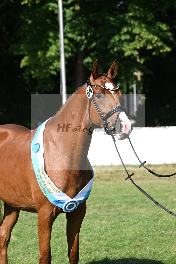 Kat-Nr. 64 Aurelia Finesse v. Quaterback_Reglauer_19251449 | hf-fotografie - Realizzato con Pictrs.com