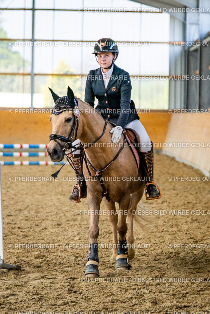 DSC01281 | Pferdegrafie