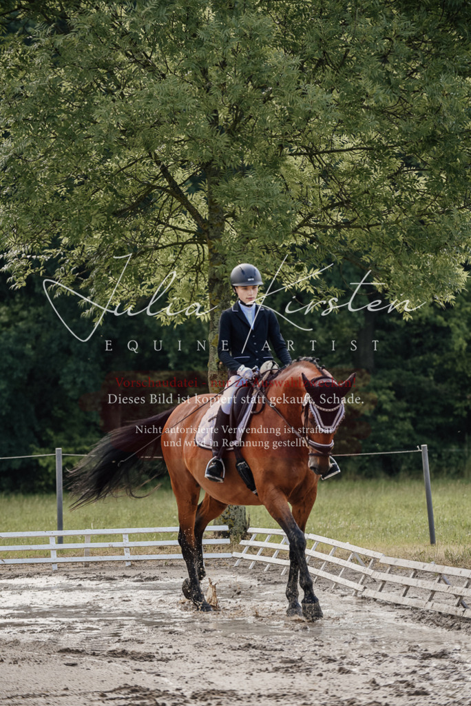DSC_8127 | Pferde- und Turnierfotografie in Westsachsen. Pferdeportraits, Auftragszeichnungen und intuitive Kunst.