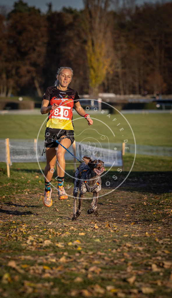 CaniXpix_DV3A3625 | Hundefotografie, Tierfotograf, Pfotenfotografie, Fotoshooting Hund, Hunde Portrait, Hundesport, Hundeportraits, Heideshooting, Hunde, Sportfotograf, Hundefotograf, Turnierhundsport, THS,  - Realisiert mit Pictrs.com