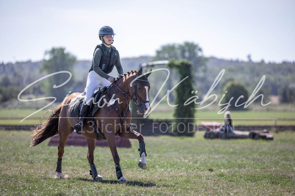 20260906-_3LI3522 | Tierfotografie Pferde, Hunde, Katzen, Haustiere.
Turnierfotografie Reitturniere, Reiten, Springreiten, Dressur in Hanau, dem Main-Kinzig-Kreis und dem Rhein-Main- Gebiet um Frankfurt