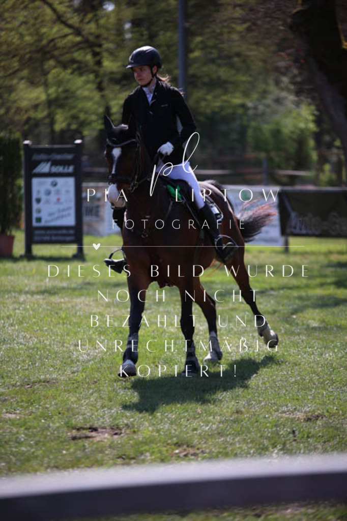 IMGT5786 | pl-fotografie