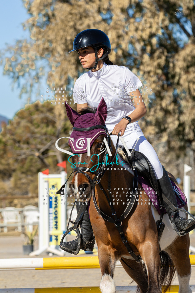 IMG_8261 | s-jay-photography - Realisiert mit Pictrs.com