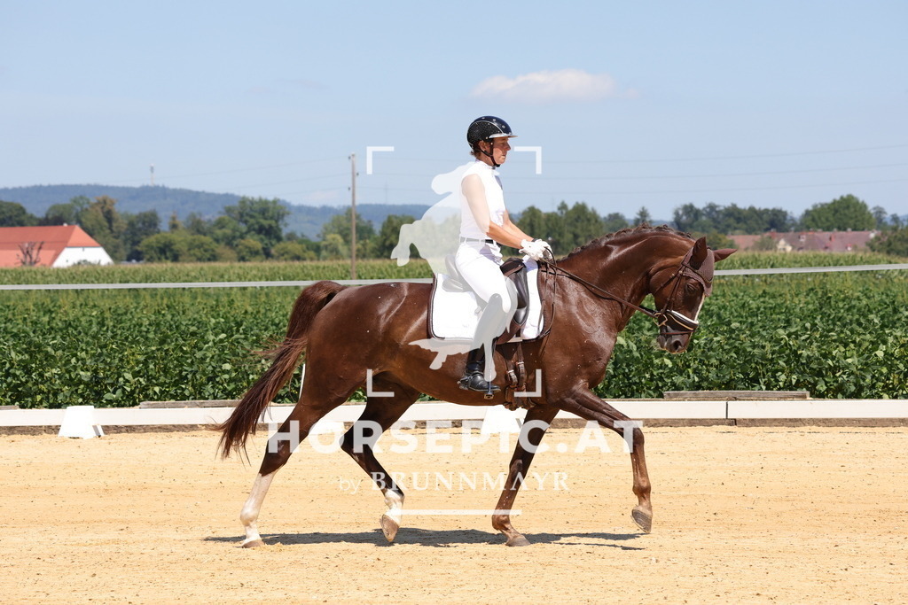 0P6A8440 | Willkommen bei Brunnmayr - Design & Fotografie – Ihrem Spezialisten für Reitturniere und Pferdeveranstaltungen in Oberösterreich, Salzburg und Bayern! Seit über 17 Jahren sind wir leidenschaftlich dabei.