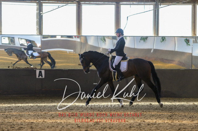 IMG_2272 | Turniersportfotografie; Pferdefotografie; Dressurfotografie