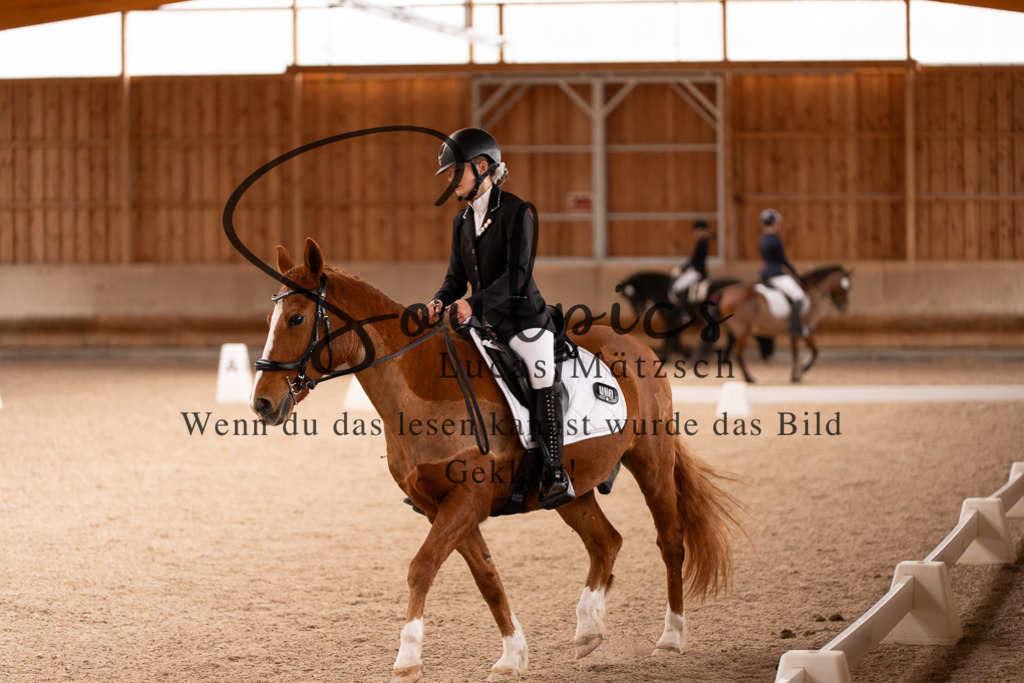 A7506951 | Turnier/Reitfotograf