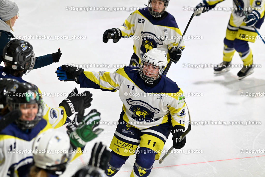LADY HAWKS vs. WILDCATS PATERNION | #11 Tschernutter Lara WILDCATS PATERNION, LADY HAWKS vs. WILDCATS PATERNION, LADY HAWKS vs. WILDCATS PATERNION am 12.03.2025 in Steindorf (Ossiachersee Halle), Austria, (Photo by Bernd Stefan)