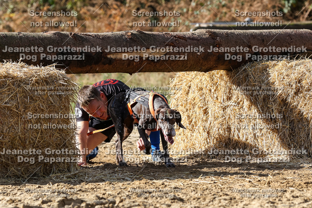 Dog Paparazzi - Strongdog 10-25-4850 | Dog Paparazzi Jeanette Grottendiek Fotografie & Videografie - Realisiert mit Pictrs.com